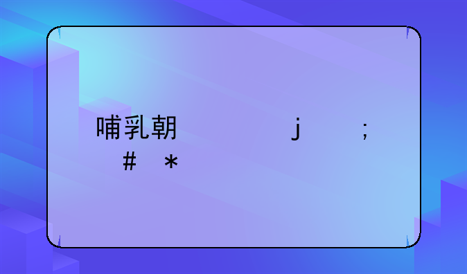 哺乳期家暴怎么办
