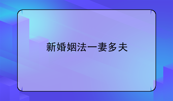 新婚姻法一妻多夫