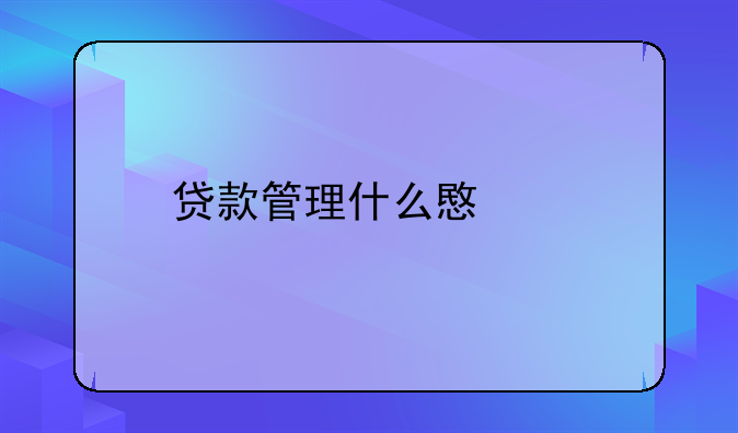 贷款管理什么意思