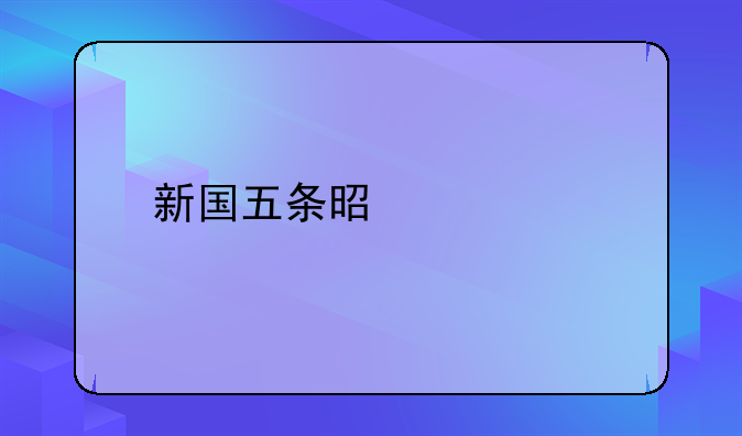 新国五条是什么
