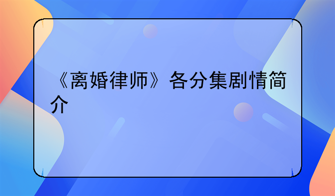 《离婚律师》各分集剧情简介