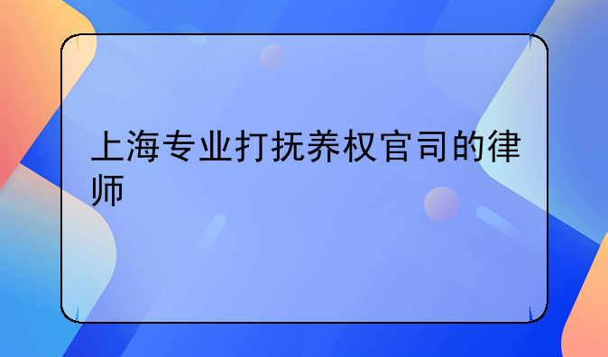 上海专业打抚养权官司的律师