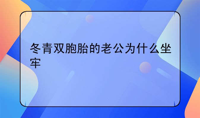 冬青双胞胎的老公为什么坐牢