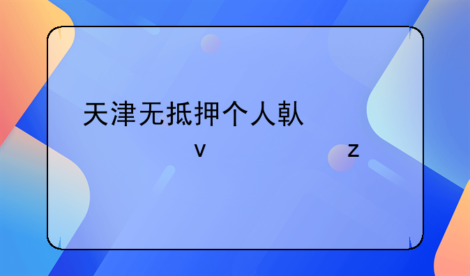 天津无抵押个人借款全面解析