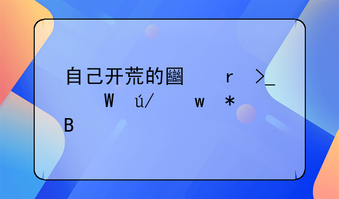 自己开荒的土地受法律保护吗
