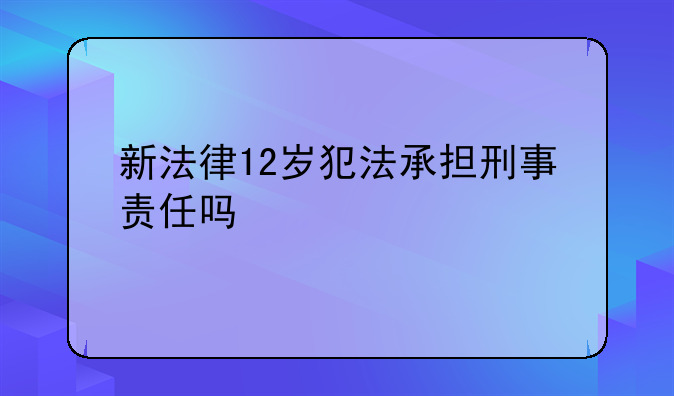 新法律12岁犯法承担刑事责任吗