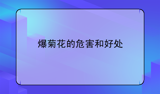 爆菊花的危害和好处