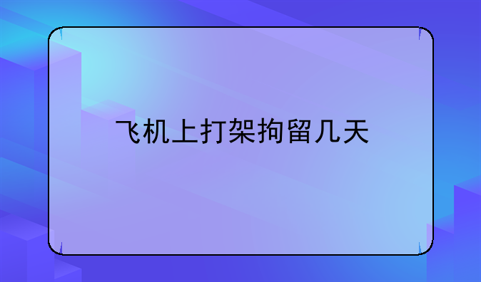 飞机上打架拘留几天