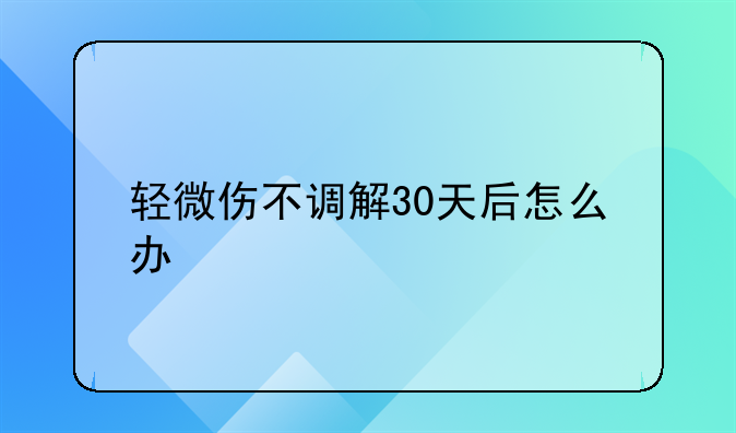 轻微伤不调解30天后怎么办