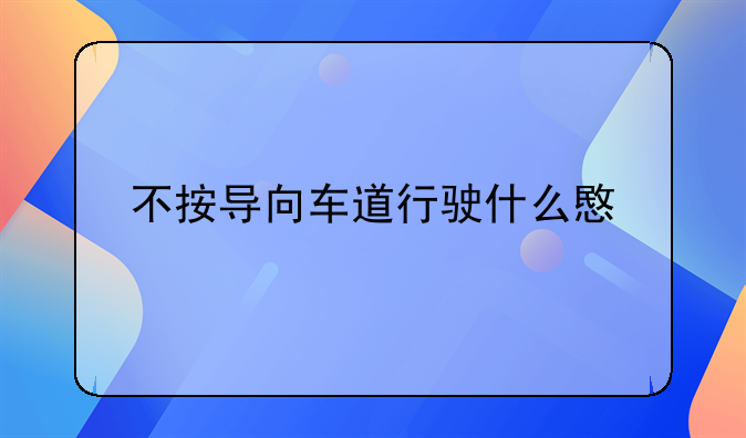 不按导向车道行驶什么意思