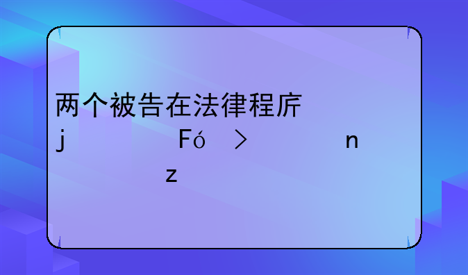 两个被告在法律程序中的称呼及其相关解析