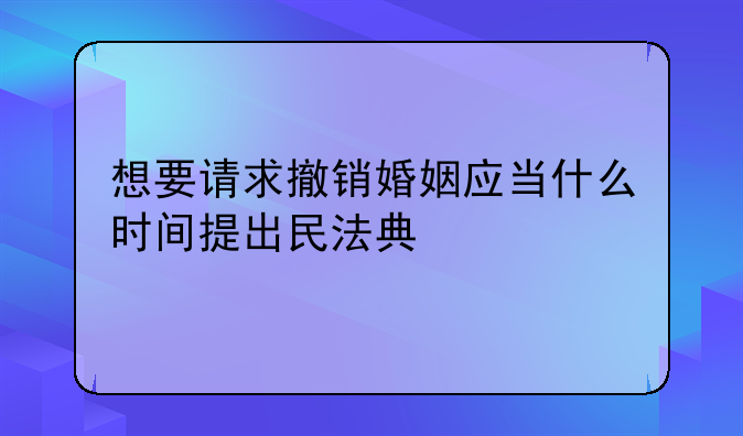 想要请求撤销婚姻应当什么时间提出民法典