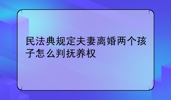民法典规定夫妻离婚两个孩子怎么判抚养权