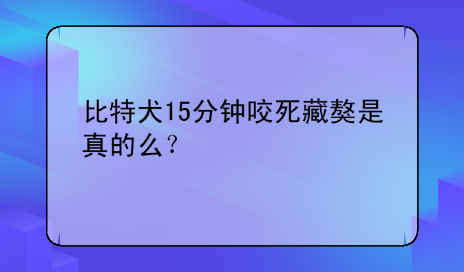 比特犬15分钟咬死藏獒是真的么？