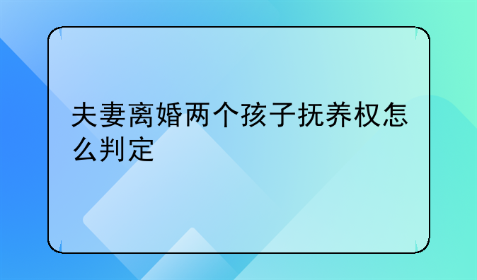 夫妻离婚两个孩子抚养权怎么判定
