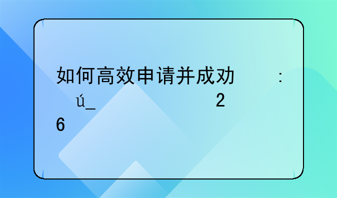 如何高效申请并成功获得贷款指南
