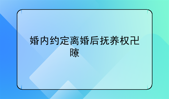 婚内约定离婚后抚养权协议书详解