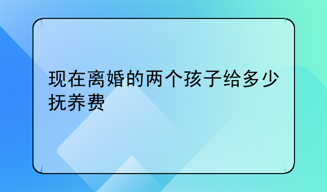 现在离婚的两个孩子给多少抚养费