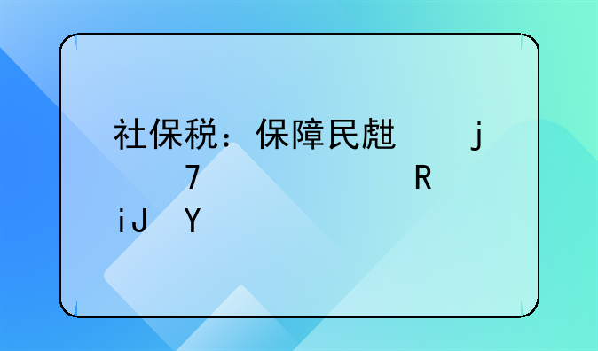 社保税：保障民生的重要财政支柱