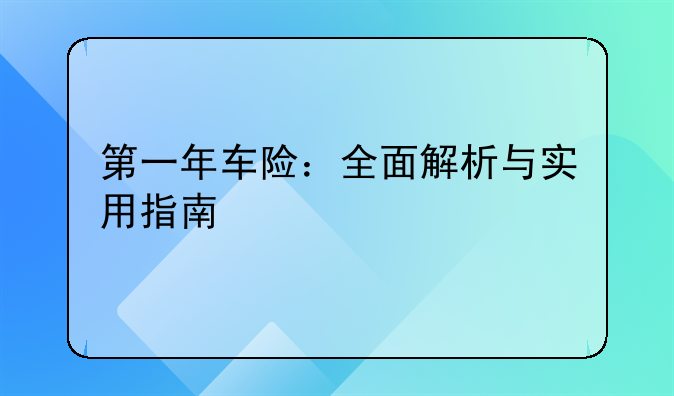 第一年车险：全面解析与实用指南