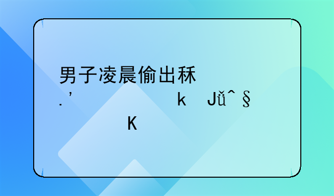 男子凌晨偷出租车拉活赚钱早上归还