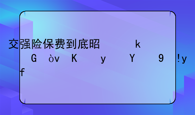 交强险保费到底是多少？你真的清楚吗