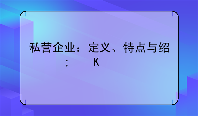 私营企业：定义、特点与经济角色解析