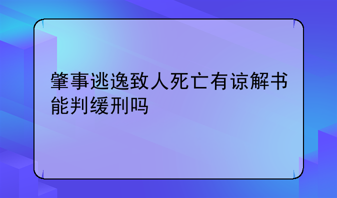 肇事逃逸致人死亡有谅解书能判缓刑吗