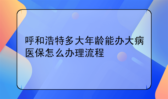 呼和浩特多大年龄能办大病医保怎么办理流程