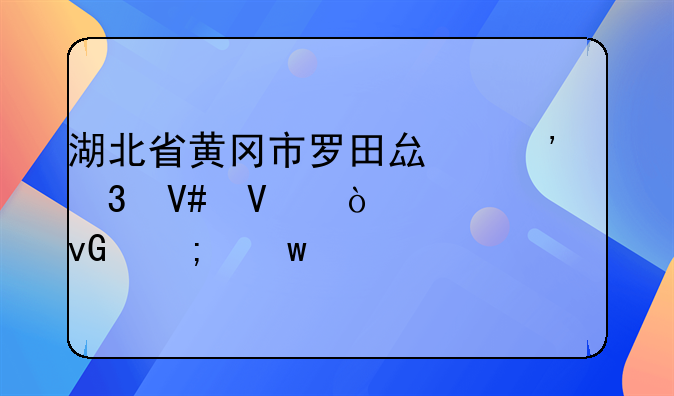 湖北省黄冈市罗田县三里畈镇张家湾村低保对象