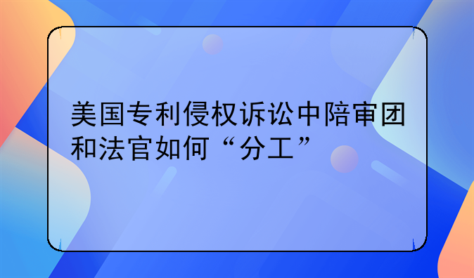 美国专利侵权诉讼中陪审团和法官如何“分工”