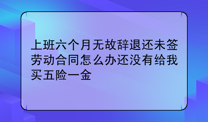 上班六个月无故辞退还未签劳动合同怎么办还没有给我买五险一金