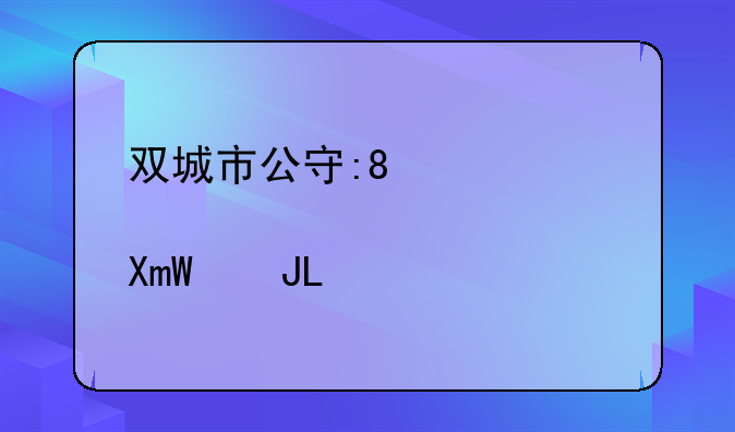 双城市公安局安启华